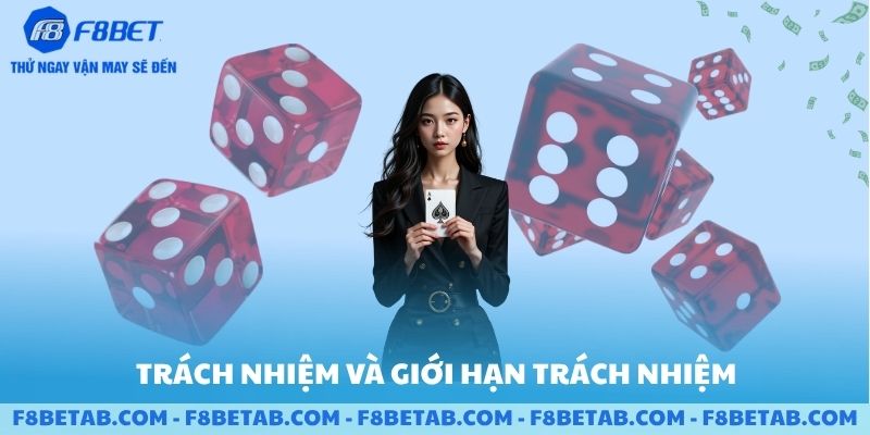 Trách nhiệm và giới hạn trách nhiệm