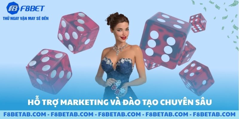 Hỗ trợ marketing và đào tạo chuyên sâu