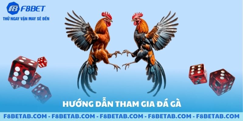 Hướng dẫn tham gia đá gà tại F8BET