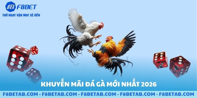 Khuyến mãi đá gà mới nhất năm 2026 tại F8BET