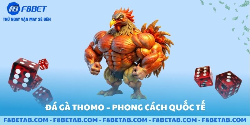 Đá gà thomo phong cách quốc tế
