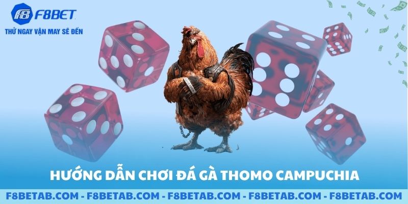Hướng dẫn chơi đá gà thomo campuchia trên F8BET