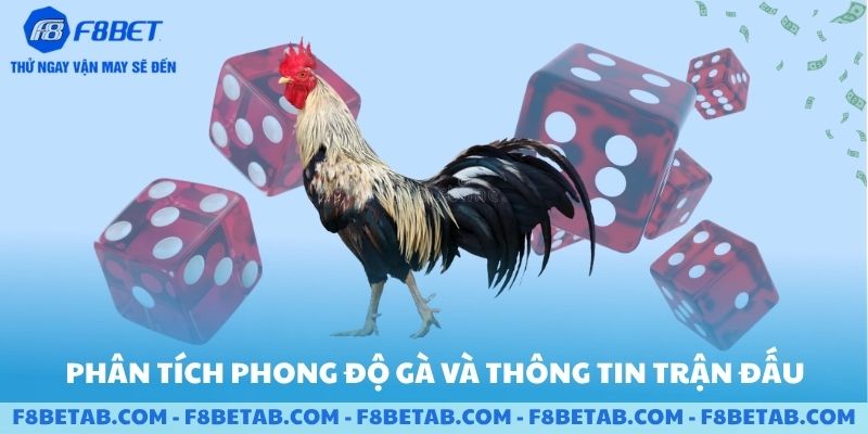 Phân tích phong độ gà và các thông tin trận đấu