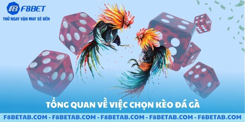 Tổng quan về việc nên cược kèo đá gà nào để tăng tỷ lệ thắng