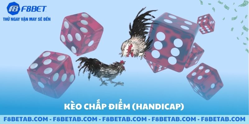 Kèo chấp điểm handicap đá gà