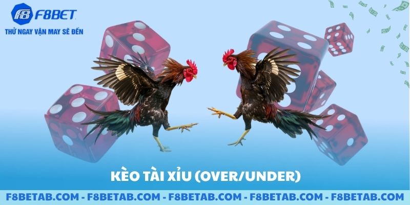 Kèo tài xỉu over và under trong đá gà